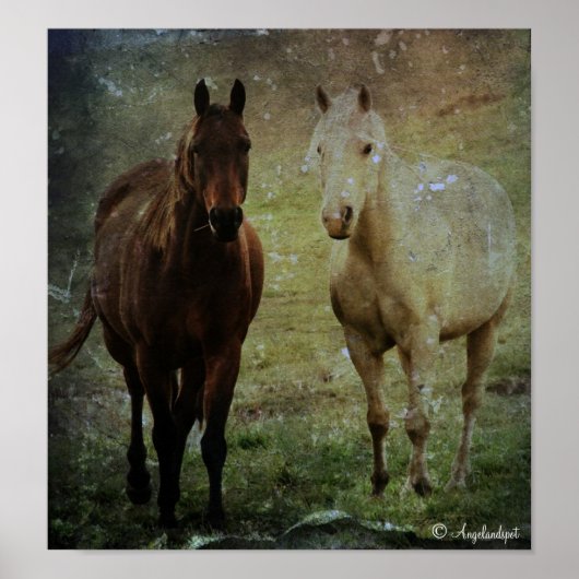 Paardenmaatjes Grunge Poster (Voorkant)
