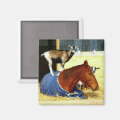 Paardenmagneet Geitenmagneet Grappig Boerderij Fot Magneet (Voorkant / Achterkant)