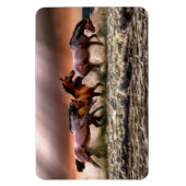 paardenmagneet magneet (Verticaal)