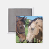 Paardenmagneet Vierkante Romance Magneet (Voorkant / Achterkant)