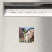 Paardenmagneet Vierkante Romance Magneet (Insitu (Vaatwasser))
