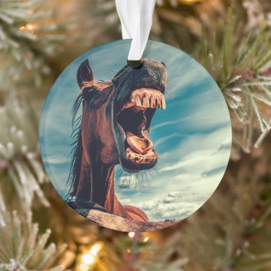 Paardenmond Teth Neigh Wild Horse Animal Ornament (Boom)