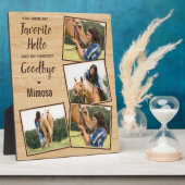 Paardenmonument 4 Foto Fotoplaat (Zijkant)