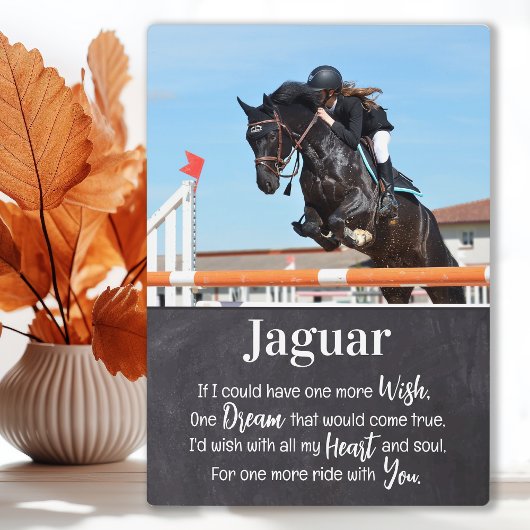 Paardenmonument Herdenkingsfoto Fotoplaat