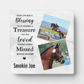 Paardenmonument Paard Foto Collage Fotoplaat (Voorkant)