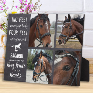 Paardenmonument Paard Foto Collage Plaquette Fotoplaat