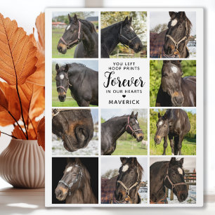 Paardenmonument Persoonlijke huisdierfotocollage Fotoplaat
