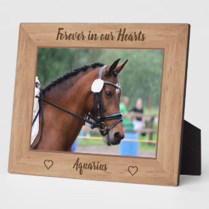 Paardenmonument voor altijd in onze harten Paarden Fotoplaat