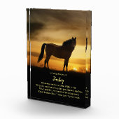 Paardennaam Douanegedenkteken Mooie gedicht foto (Rechts)