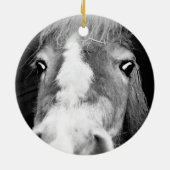 Paardennaam FOTO Hoefijzer Keepsake Pet Memorial Keramisch Ornament (Achterkant)