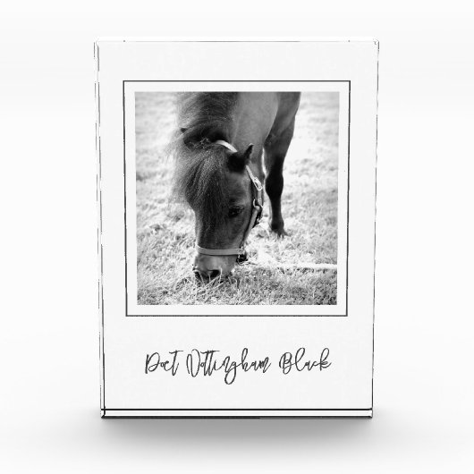 PAARDENNAAM Paardensport FOTO Tijdloze herinnering (Voorkant)