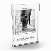 PAARDENNAAM Paardensport FOTO Tijdloze herinnering (Links)