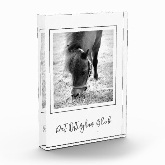 PAARDENNAAM Paardensport FOTO Tijdloze herinnering (Links)