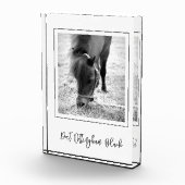 PAARDENNAAM Paardensport FOTO Tijdloze herinnering (Rechts)