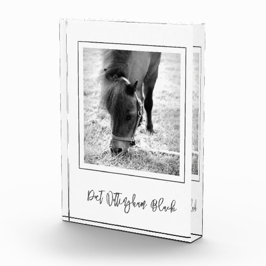 PAARDENNAAM Paardensport FOTO Tijdloze herinnering (Rechts)