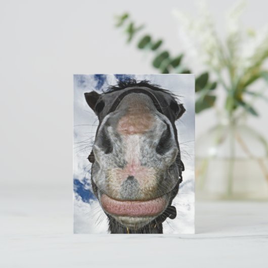 Paardenneus Knows! Funny Smiling Horse Briefkaart (Staand voorkant)