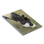Paardennotitieboek Notitieboek (Rechterzijde)
