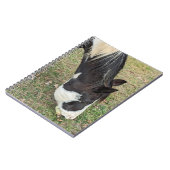 Paardennotitieboek Notitieboek (Linkerzijde)