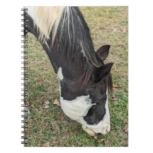 Paardennotitieboek Notitieboek (Voorkant)