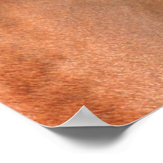 Paardenogen Poster (Hoek)