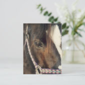 Paardenogen Uitzicht Briefkaart (Staand voorkant)