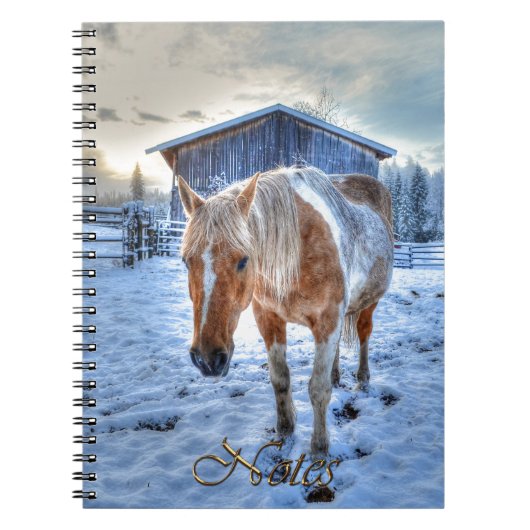 Paardenontwerp van Palomino-verf Notitieboek (Voorkant)