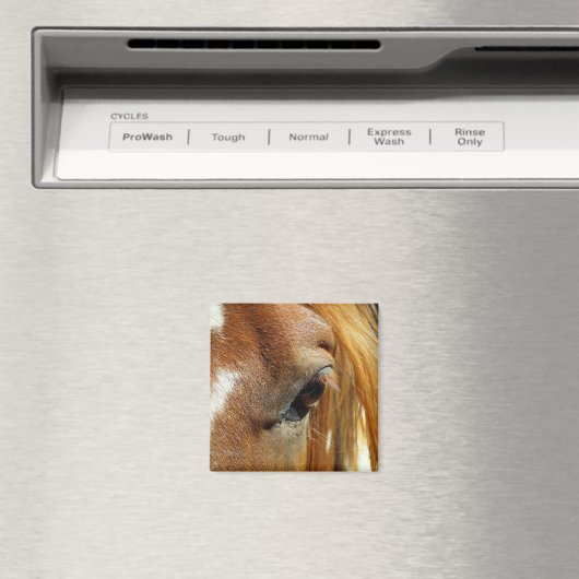 Paardenoog Close-up Magneet (Insitu (Vaatwasser))