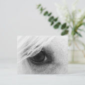Paardenoog in zwart-wit briefkaart (Staand voorkant)