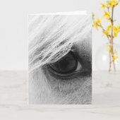 Paardenoog in zwart-wit kaart (Gele Bloem)