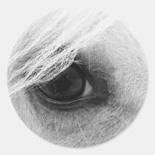 Paardenoog in zwart-wit ronde sticker