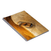 Paardenoog Notitieboek (Rechterzijde)