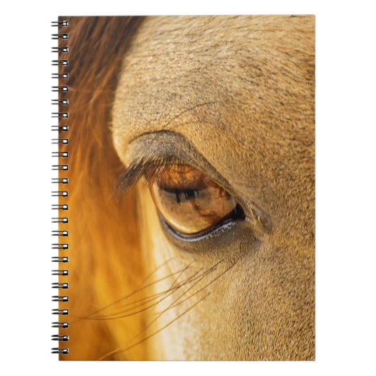 Paardenoog Notitieboek (Voorkant)
