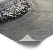 paardenoog, zwarte en witte foto poster (Hoek)