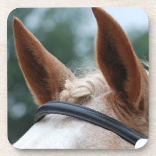 paardenoren drankjes onderzetter