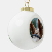 paardenoren keramische bal ornament (Links)