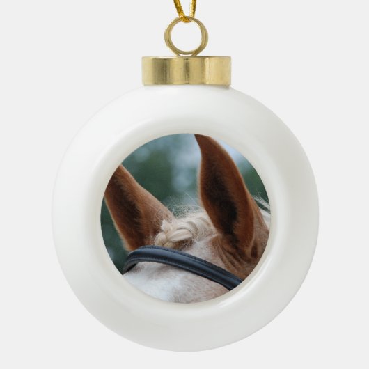 paardenoren keramische bal ornament (Voorkant)