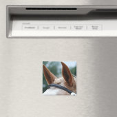 paardenoren magneet (Insitu (Vaatwasser))