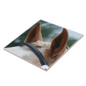 paardenoren tegeltje (Zijkant)