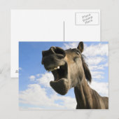 paardenpaaitijd briefkaart (Voorkant / Achterkant)