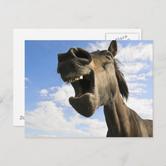 paardenpaaitijd briefkaart (Voorkant / Achterkant)