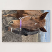 paardenpaar legpuzzel (Horizontaal)