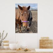 paardenpaar poster (Keuken)