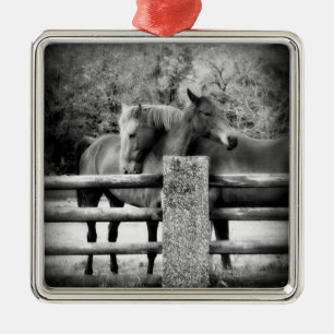 Paardenpaar - Tender Love on the Boerderij Metalen Ornament
