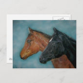 Paardenpaard afbeelding van twee zeer schattige ba briefkaart (Voorkant / Achterkant)