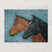 Paardenpaard afbeelding van twee zeer schattige ba briefkaart (Voorkant)