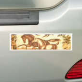 Paardenpaard Bumpersticker (Op auto)
