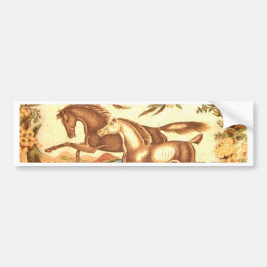 Paardenpaard Bumpersticker (Voorkant)