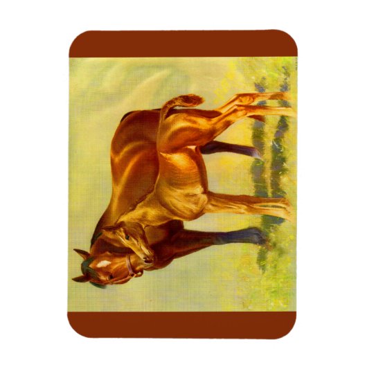 paardenpaard magneet (Verticaal)