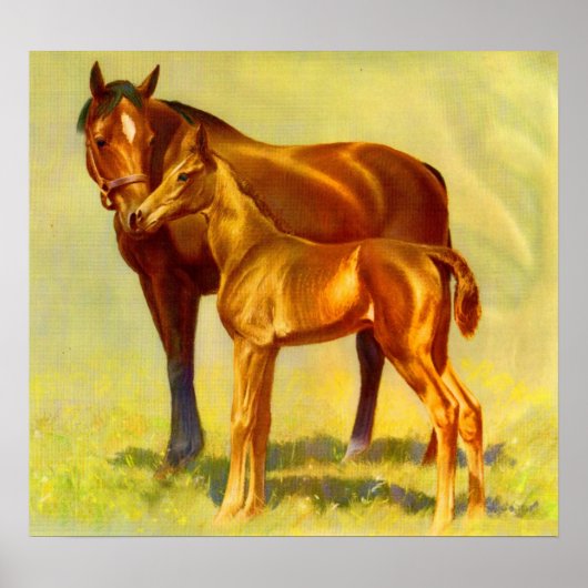 paardenpaard poster (Voorkant)