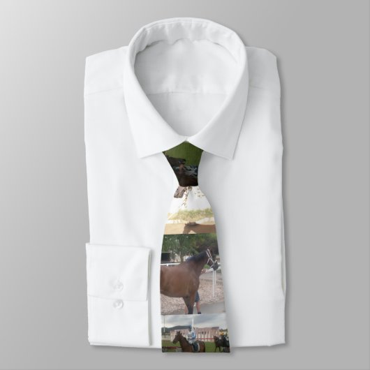 paardenpaard stropdas (Gebonden)